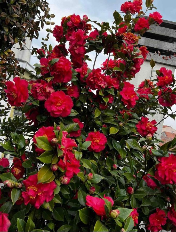 Giresio 41 - Your Penthouse With Rooftop Garden In Navigli - Wifi Appartement